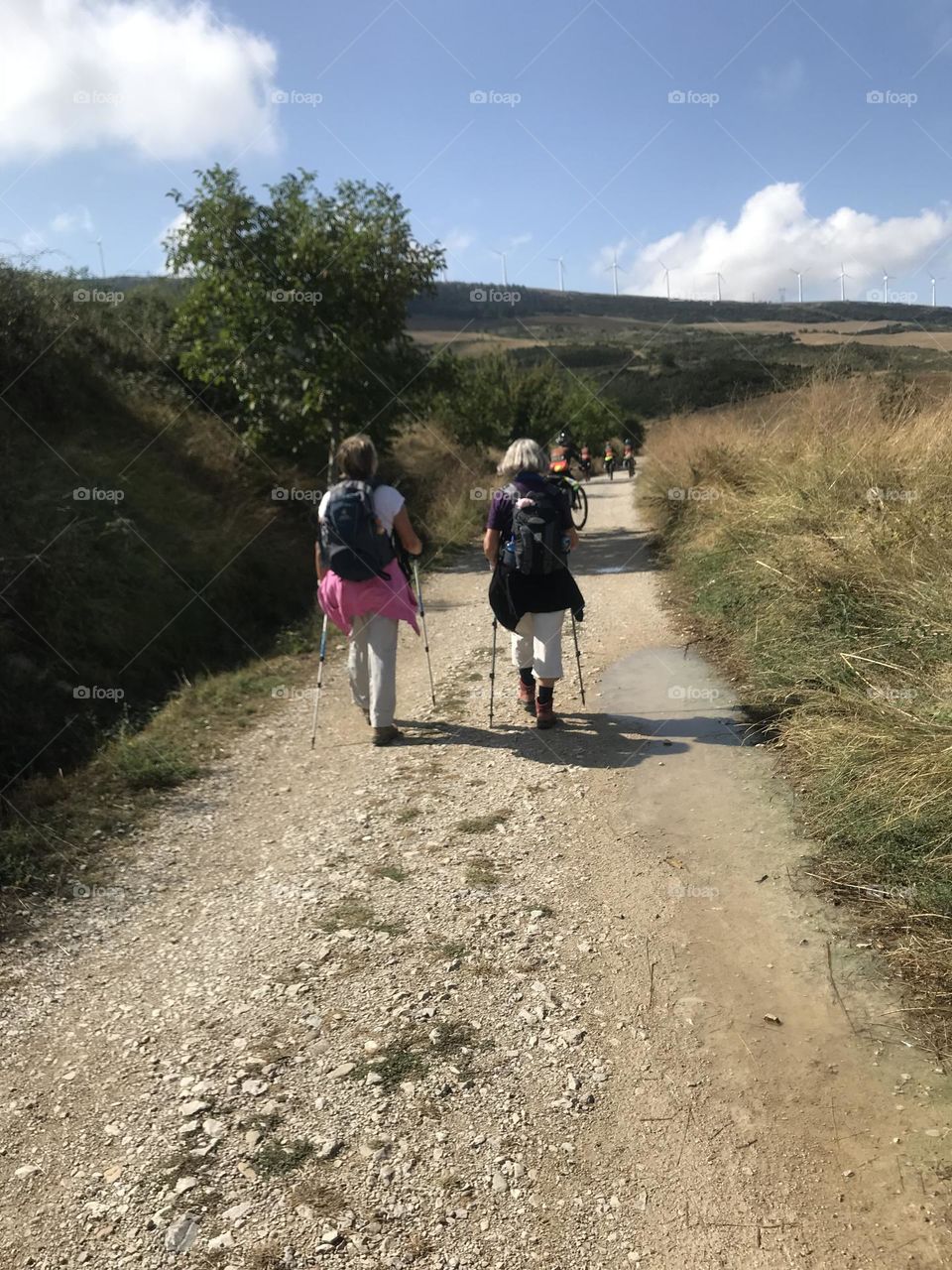 Caminho de Santiago de Compostela. Espanha 🇪🇸