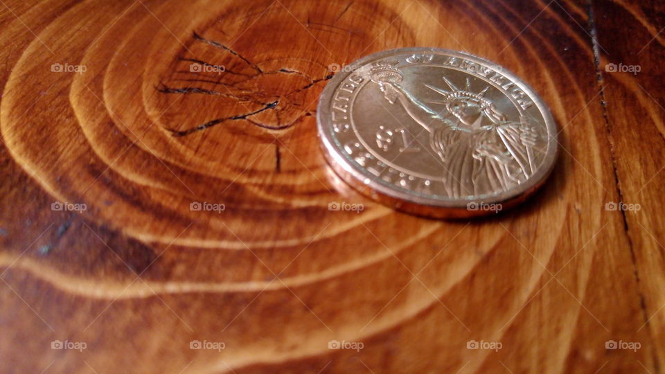 Dollar coin on a finished piece of wood