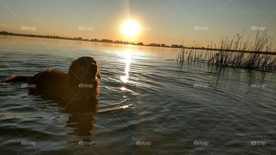 Sunset, Water, Dawn, Beach, Reflection