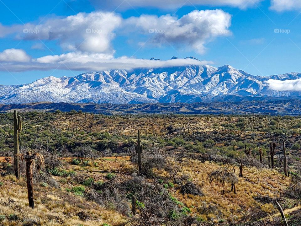 Snow covered Four Peaks near Phoenix Arizona is a rare yet beautiful site and contrasts with the arid foreground