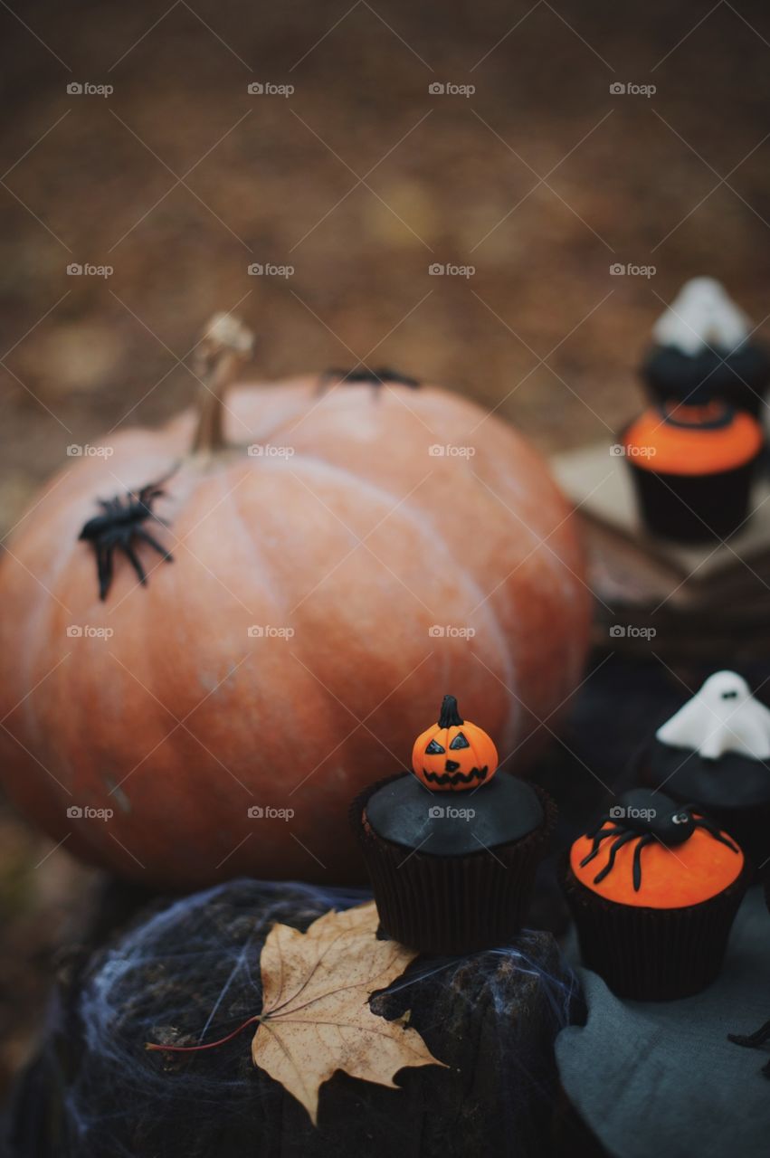 forest, night, holiday, decorations, snacks, fall, orange, black, mystery, Halloween, dark, glowing, candy, flashlight, ginger, fun, cute, fog, gloomy, burning, candle, flame, Jack, face, smile, autumn, symbol, skeleton, dark, above, scary, good, funny, background, lonely, sadness, darkness, magic, event, bat, Ghost, concept, trick, emblem, Phantom, pumpkin face, pumpkin, October, September, werewolf, mage, terrible, grim, supernatural, treat, trick or treat, horrible, wizard, Jack-lantern