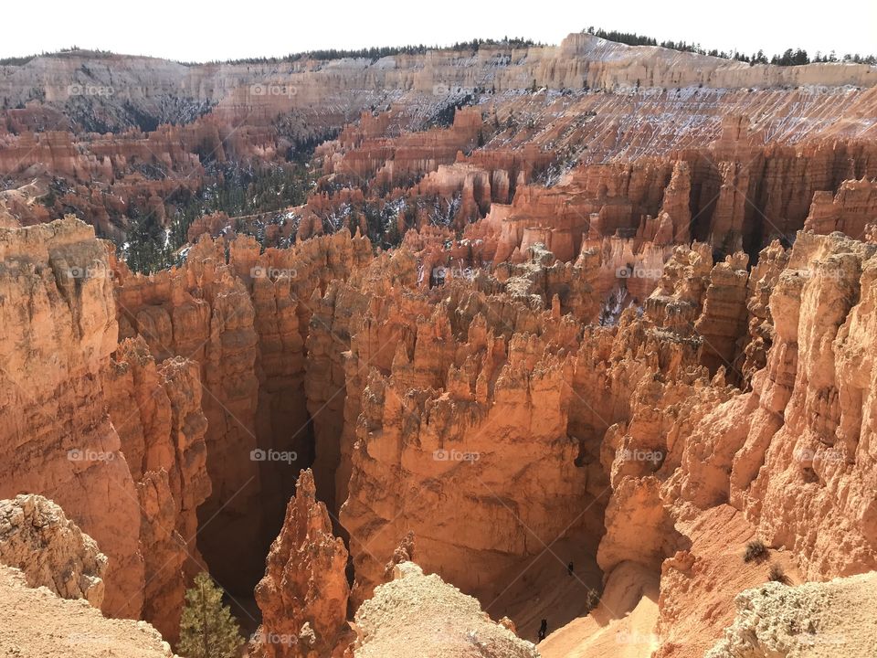 Bryce canyon views