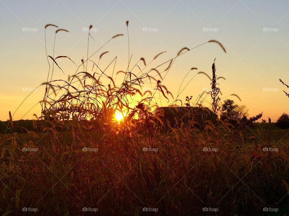 Sunset at Farm