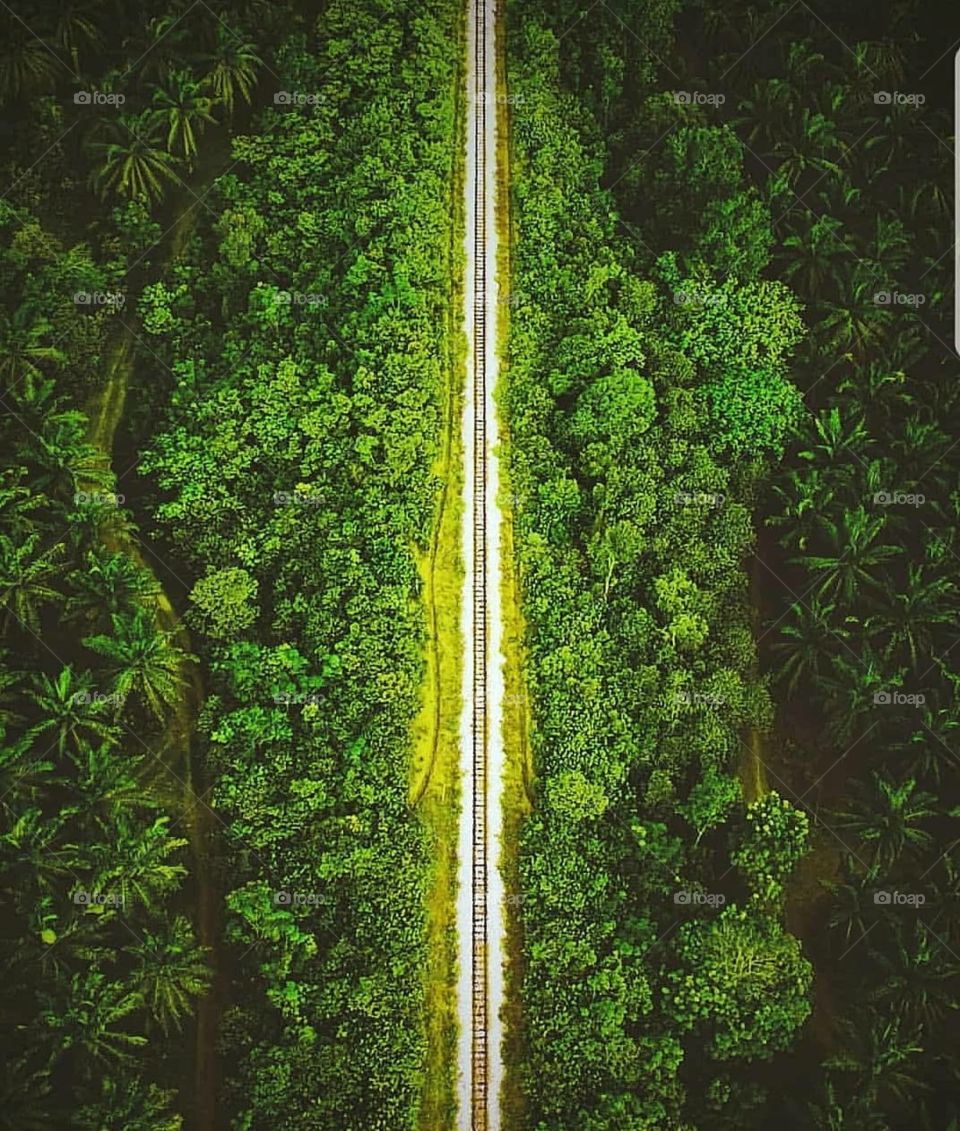 Road from above