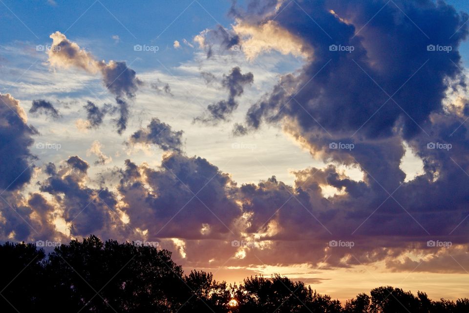 Sunset on a tree-lined horizon with deeply colored, low-level, cumulous clouds 