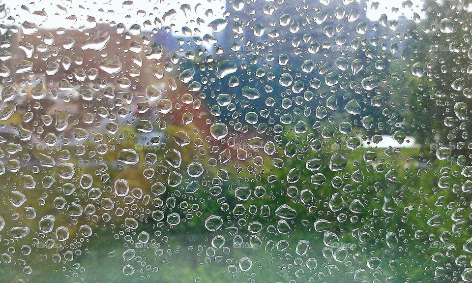 summer rain drops on the window