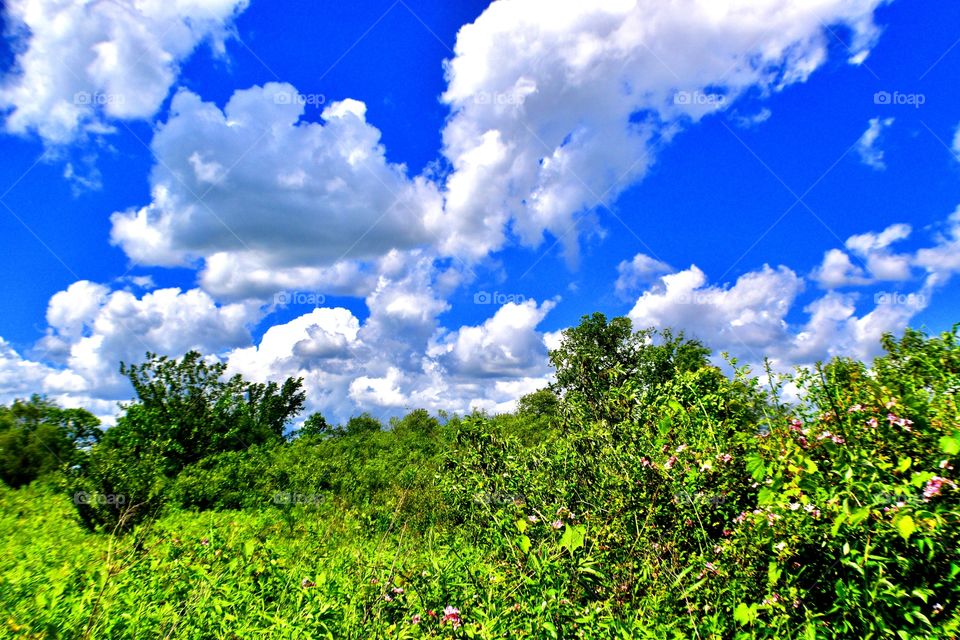Beautiful hike to the lake in Indiana 