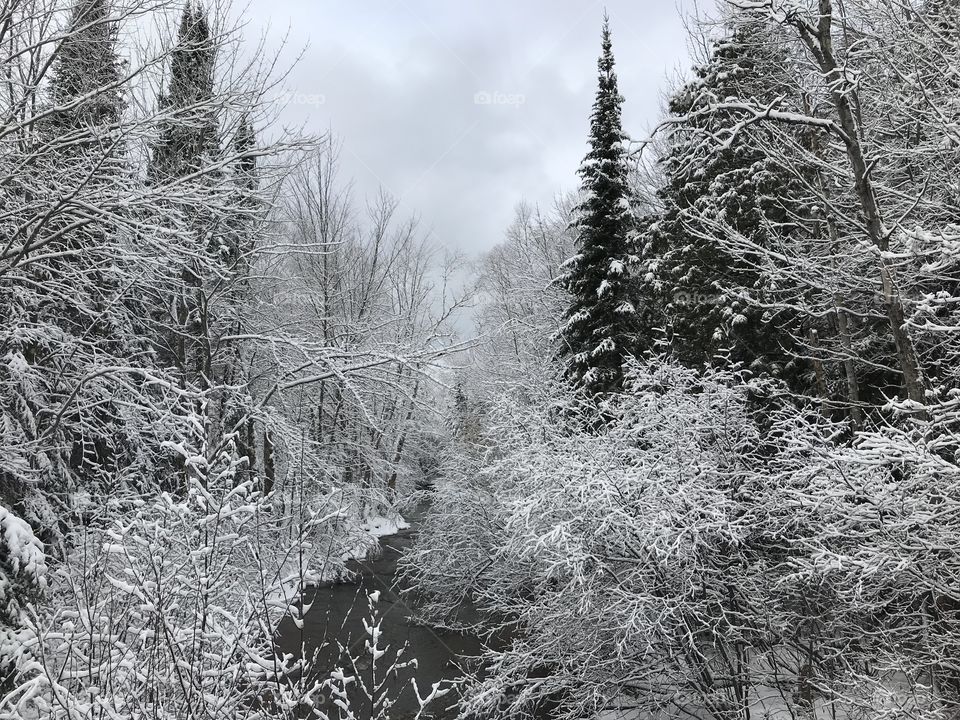 Fresh snowfall at the creek
