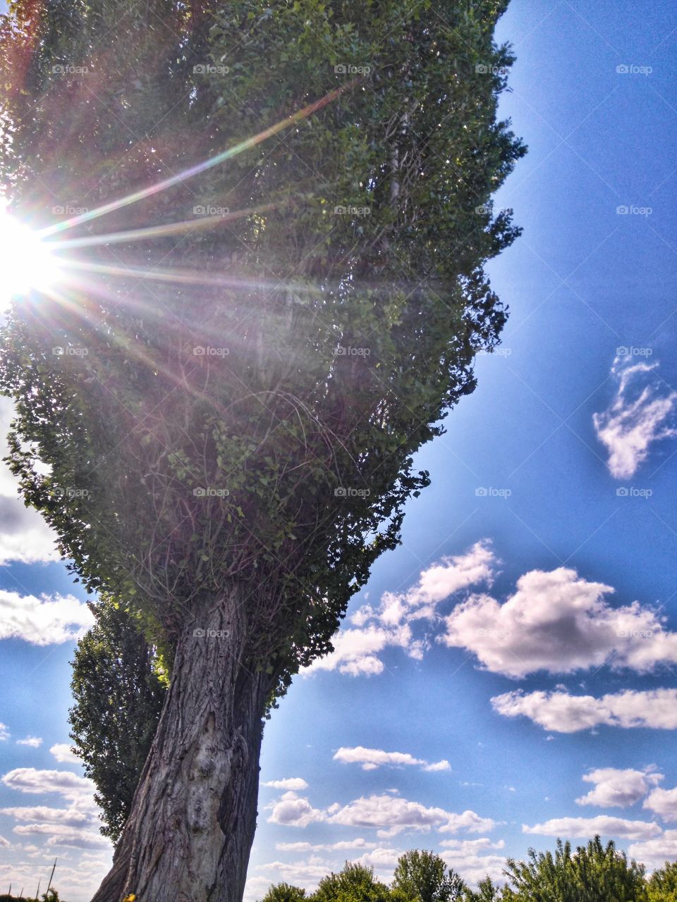 rays of the sun from behind