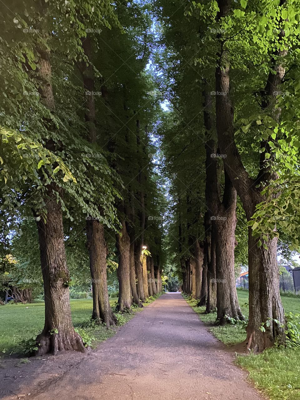 Bjølsenparken in Oslo Norway 