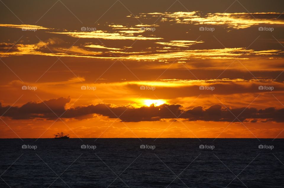 The Early Bird Catches the Fish