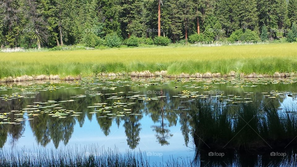 pond. ponderosa state park