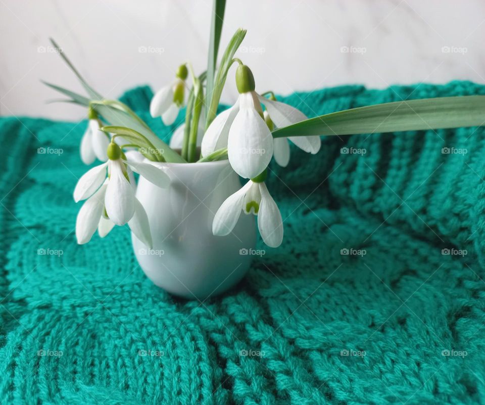 snowdrops on a green sweater.