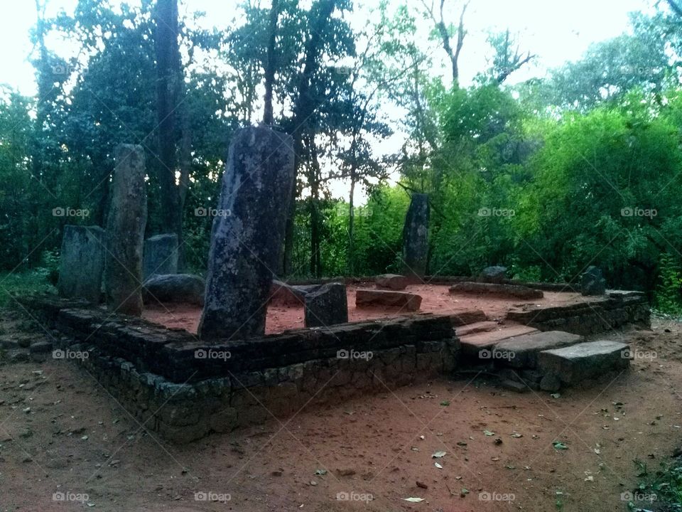 Sri Lanka mahiyanganaya nagadeepa temple