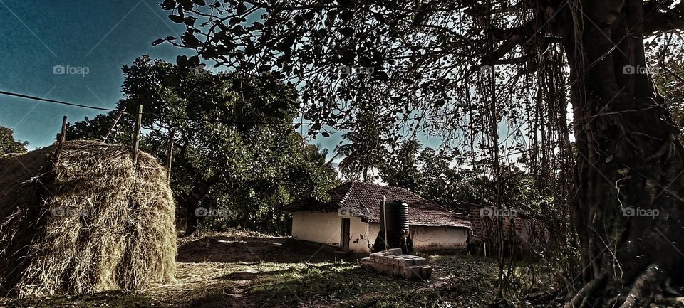 Village House of a Farmer