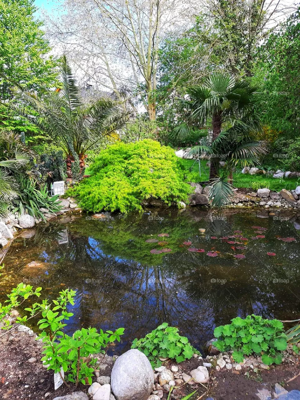 When you have your own garden pond