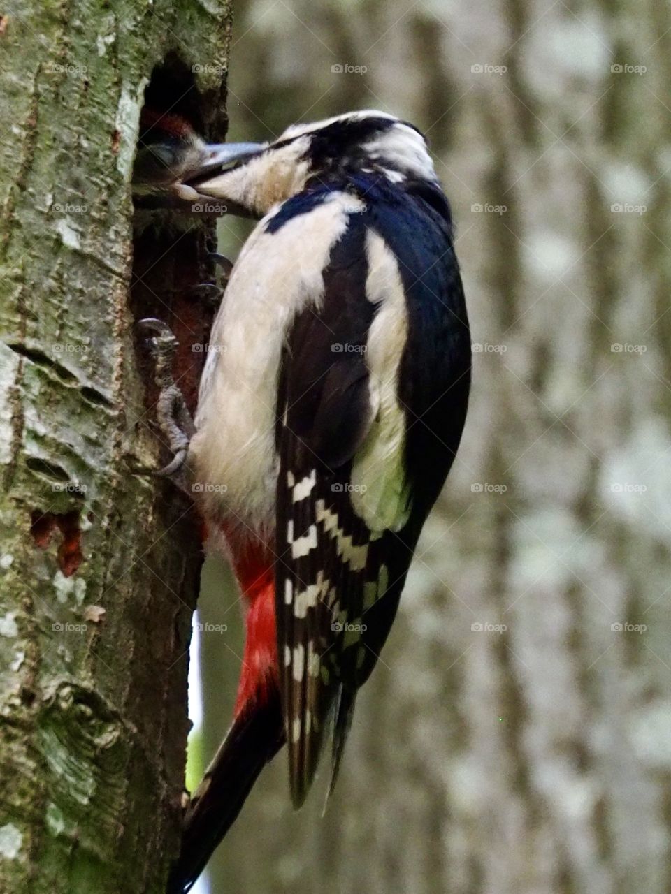 here came the day when the little one reached the window