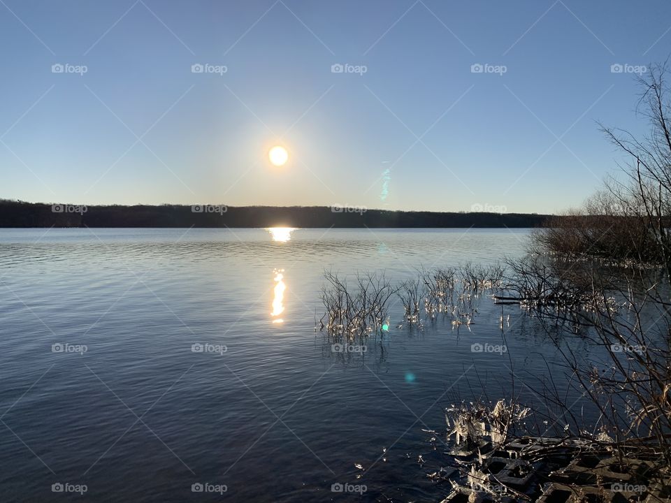 The sun is bright on a chilly day, over the local reservoir. If you look closely, you can see ice on the plants in the water. 