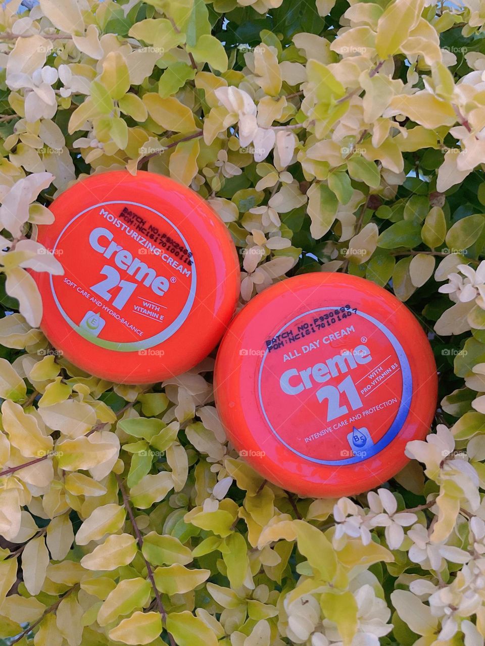 Creme21 skin all day with vitamins E and B5