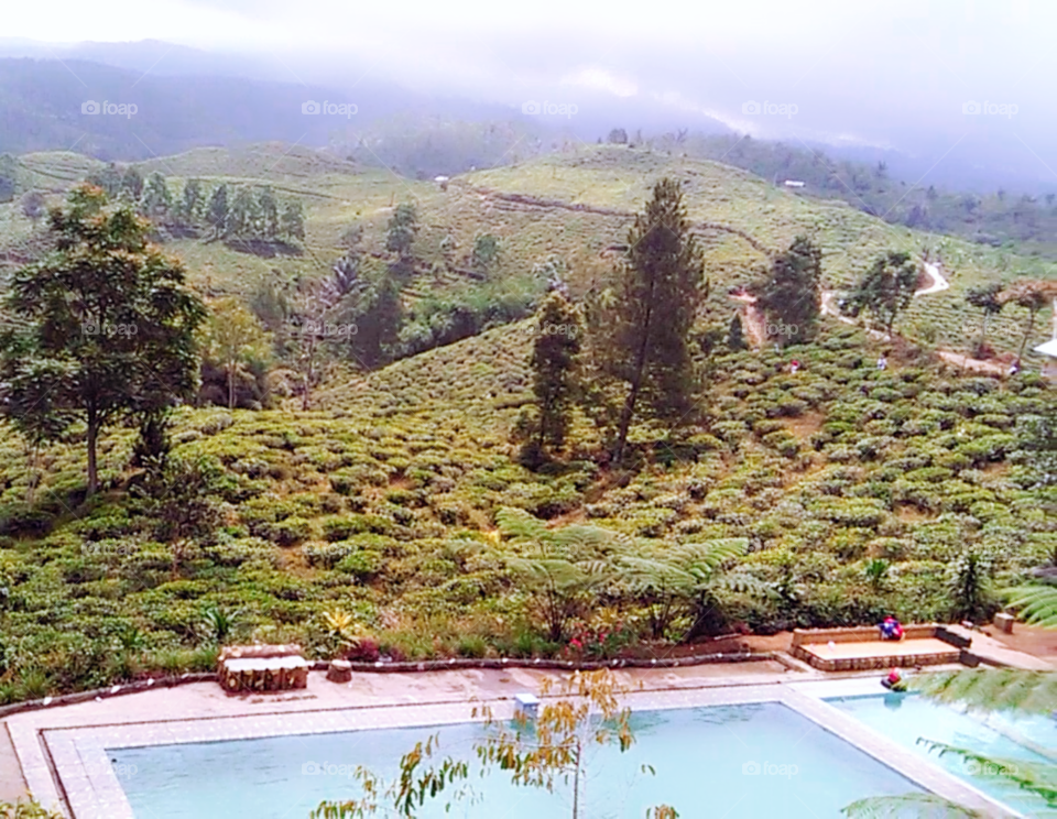 hot spring water swiming pool at west java