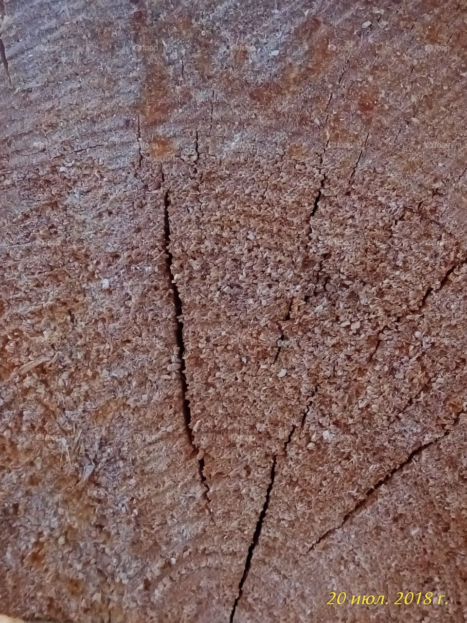 фактура.деревянные.строительство.дом.