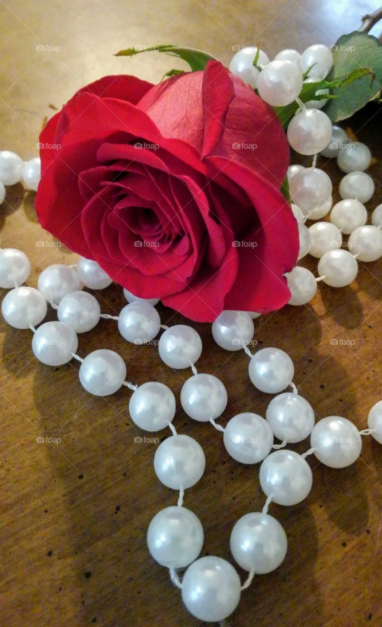 Rose and a pearl necklace