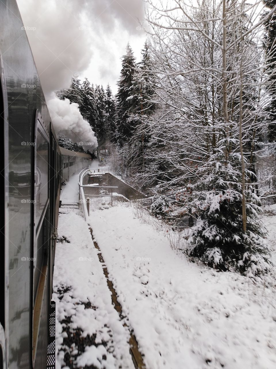 Steam train ride
