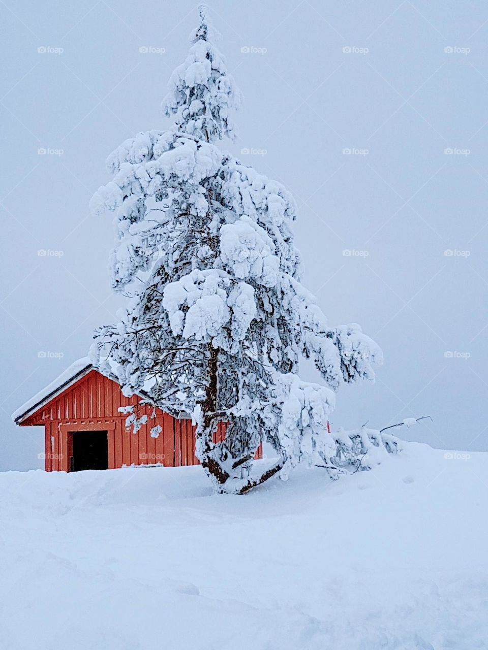 A beautiful little pink house on top of a mountain from which skiers descend
Branes/Sweden