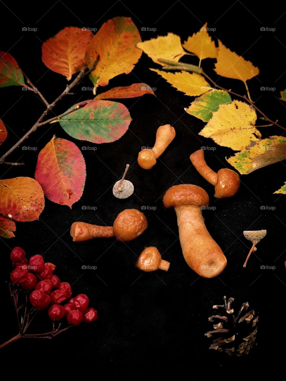 Autumn.  Autumn gifts lie on a black background: a branch with red leaves, a branch with yellow leaves, honey mushrooms, a bunch of red rowan and a pine cone