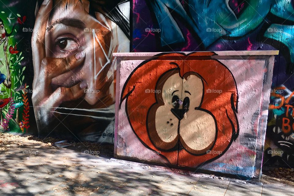 Mural, street art, face and animal