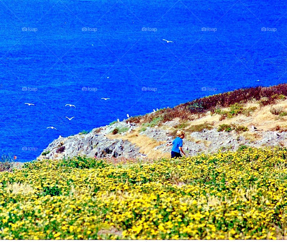 Running through the flower fields 