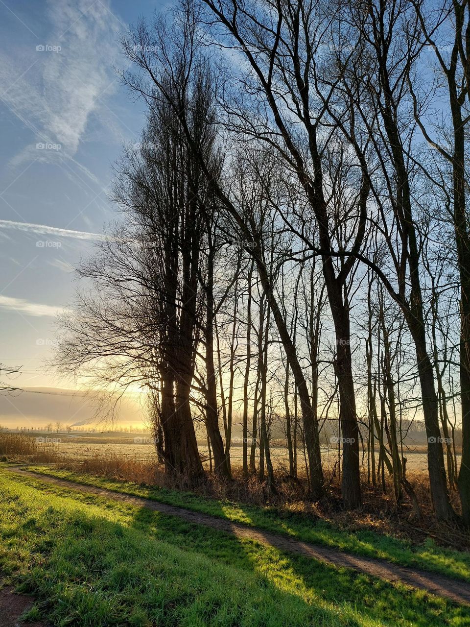 Winter morning in Dordrecht