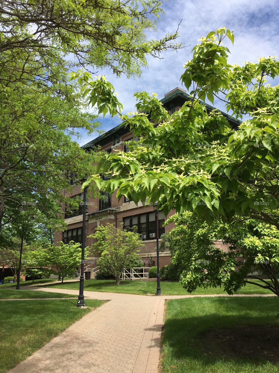 University in early summer