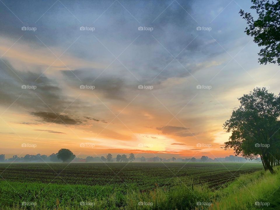 Dramatic and colorful sunrise sky over a rural landscape with clouds looking like brush strokes on a painting