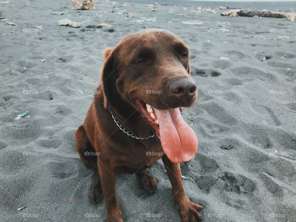 First time on the beach!