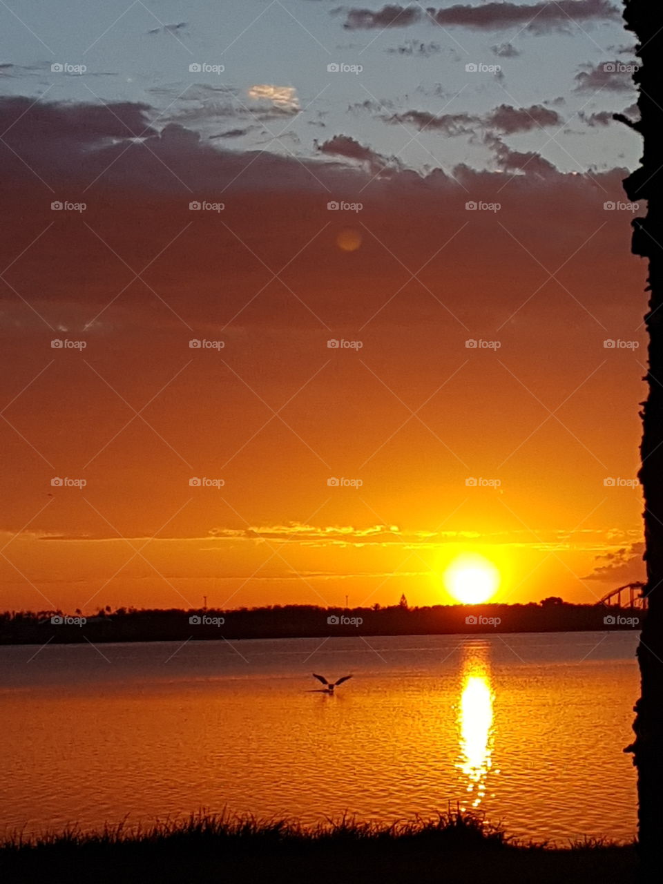 Pelican Landing over Broadwater