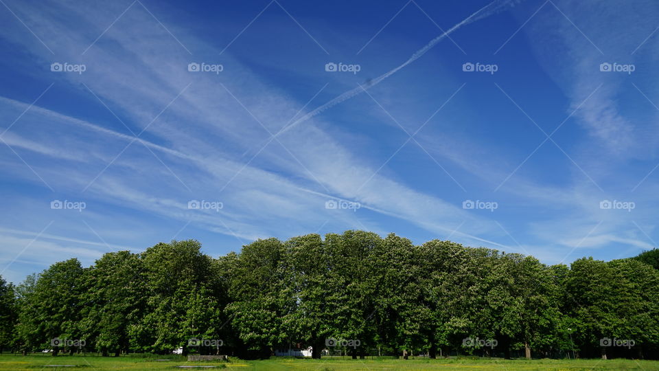 A sunny day in May in Belgium