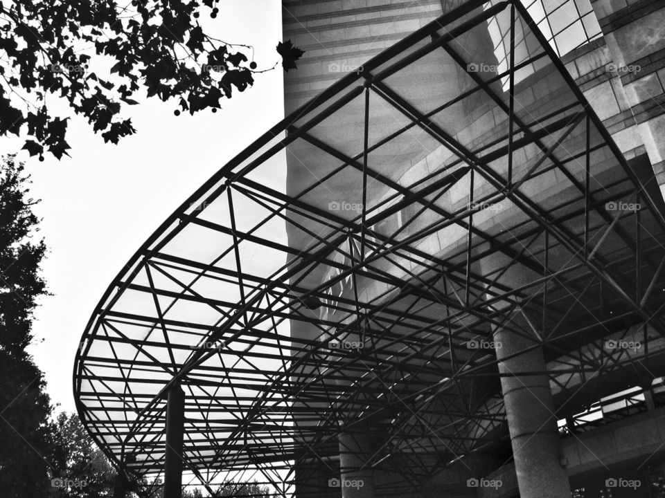 Architecture. Glass & Steel Canopy