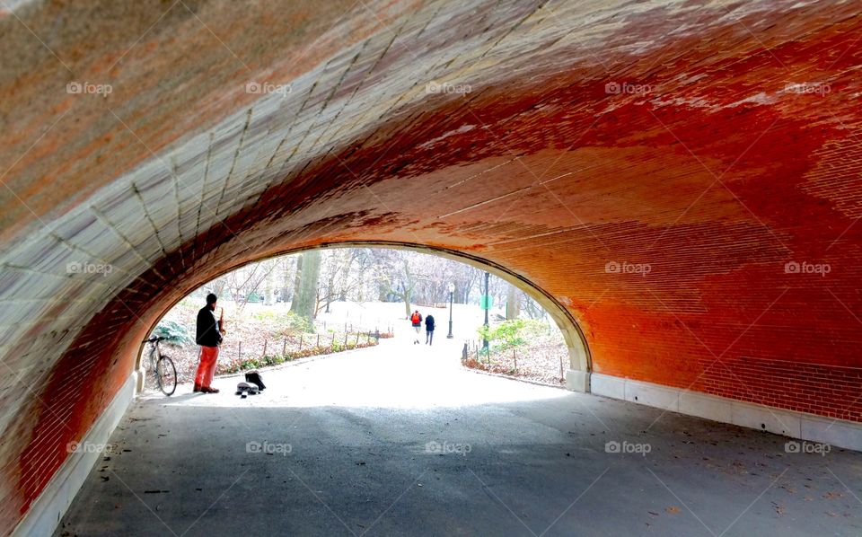 Jazz musician Central Park New York City
