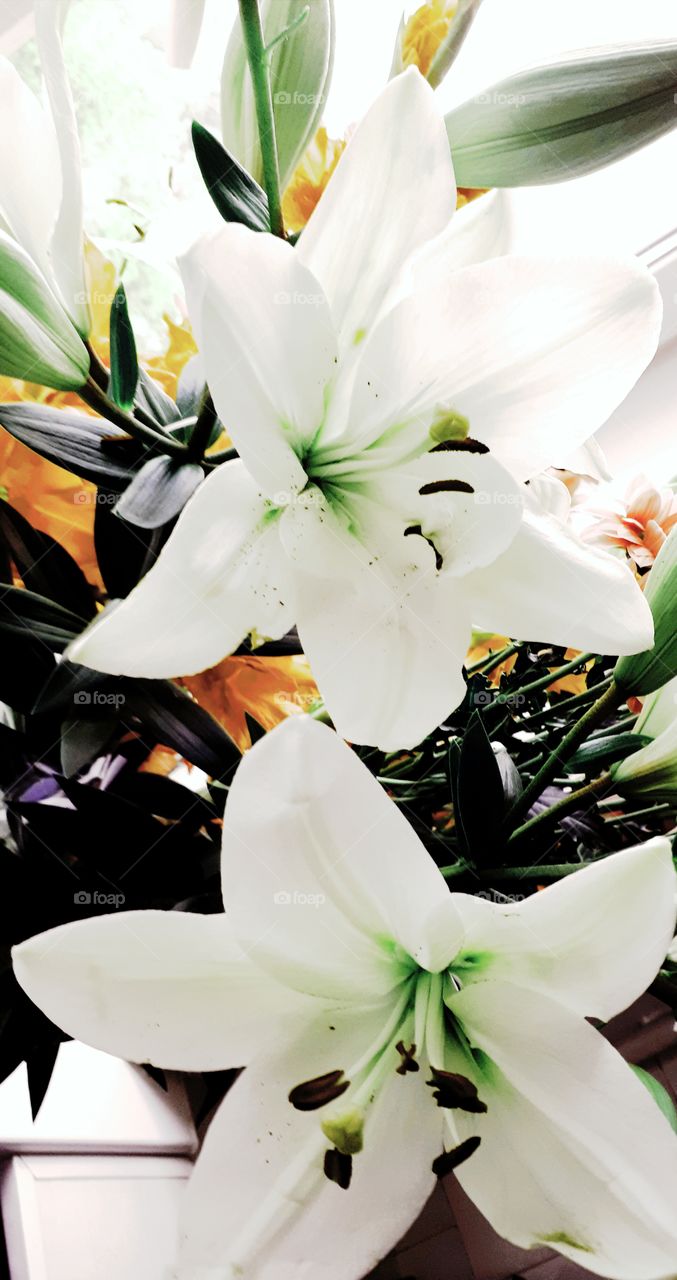 A bouquet of white lilies