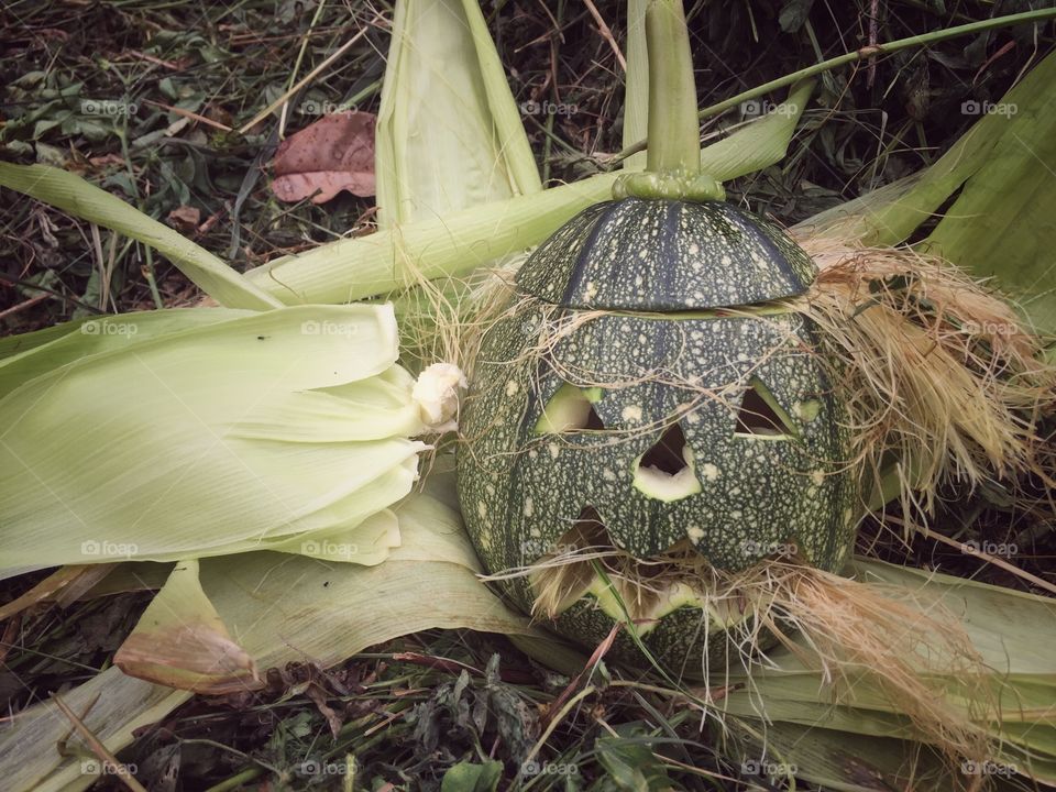 Halloween pumpkin scary face
