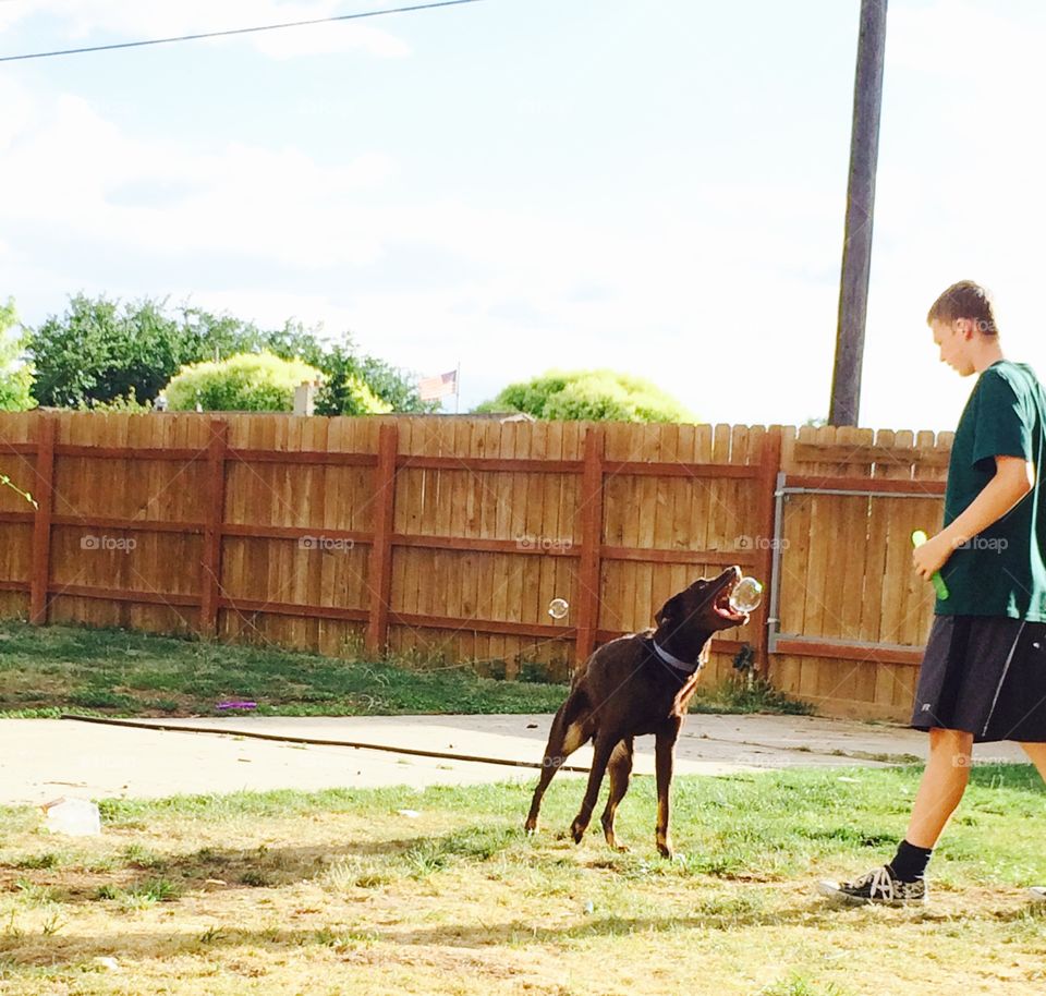 Getting the bubble. Playing outside 