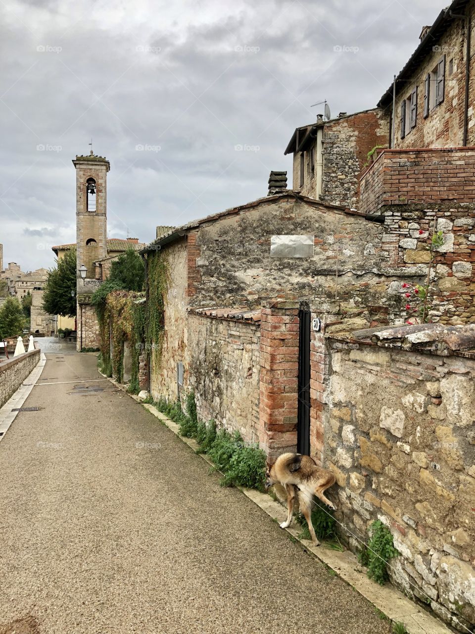 Colle di val d‘Elsa Tuscany Italy 