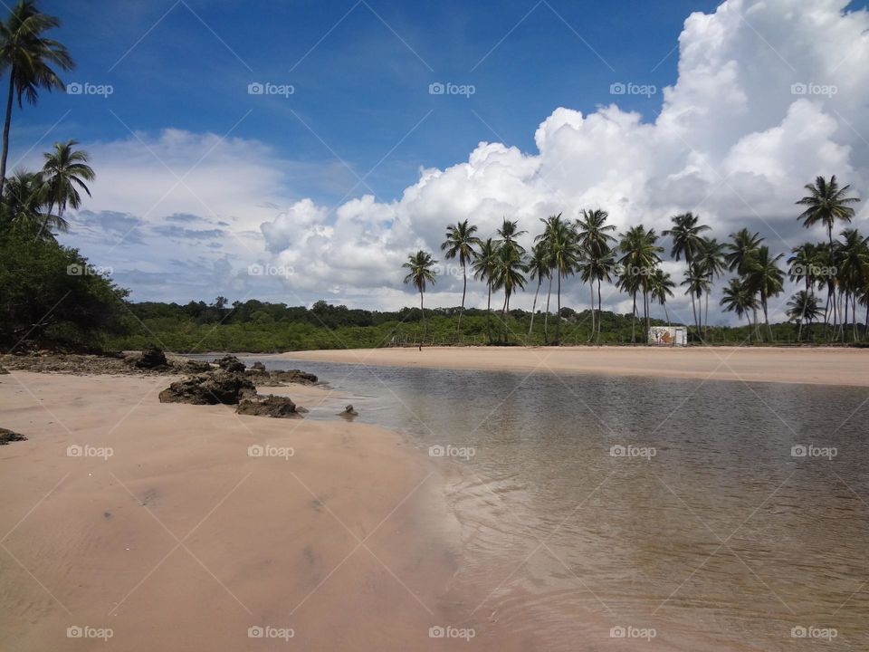 Tranquility on a desert tropical beach 