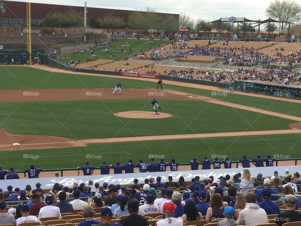 Baseball spring training 