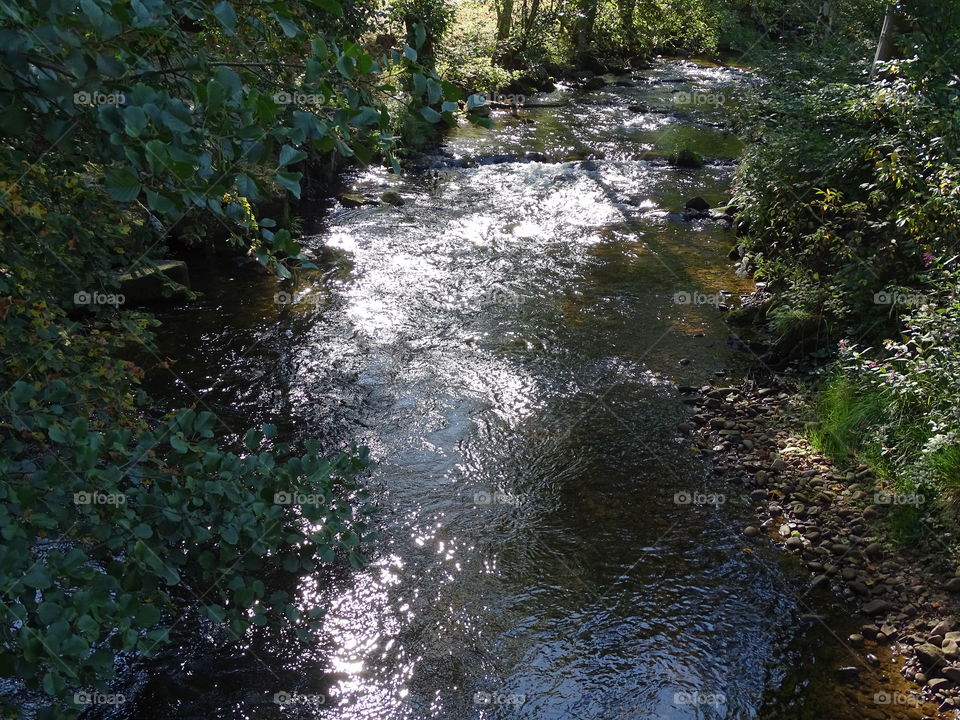 Kurpark in Bad Wildbad