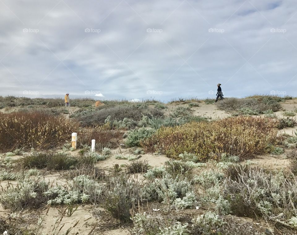 Morning stroll in nature