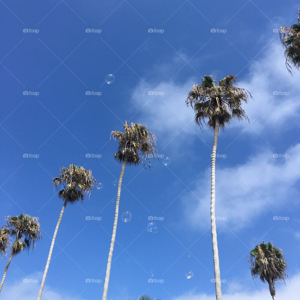 Low angle view of bubbles against sky