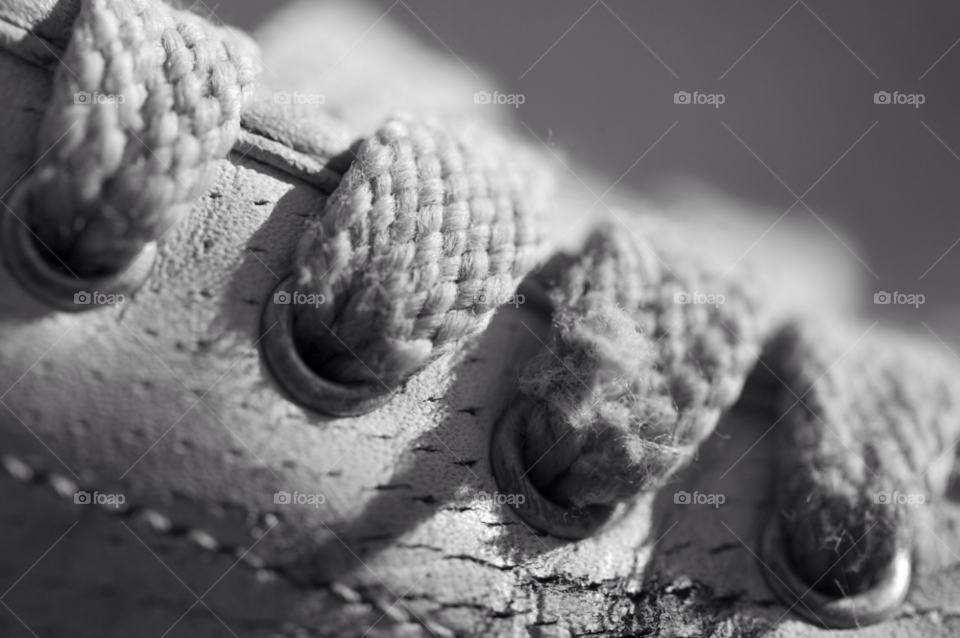 Closeup, Food, Nature, Wood, No Person