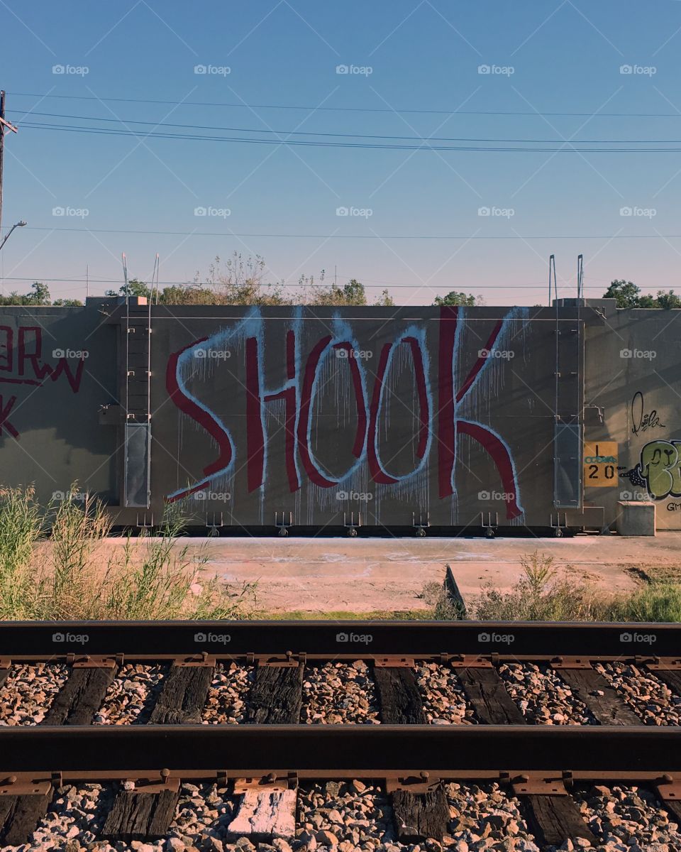 Shook Ones